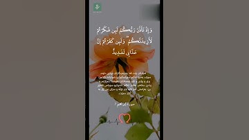 أجمل حالات واتس اب 🌺دينية قرآن كريم💗 {وإذ تأذن ربكم لئن شكرتم لأزيدنكم}♡ حياة القلوب 🕊😌