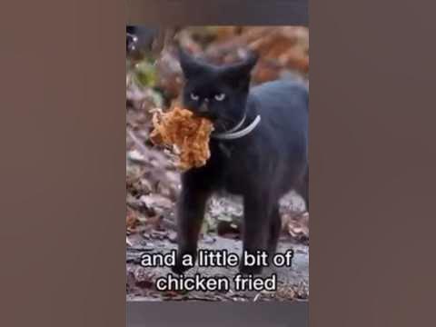 a little bit of chicken fried meme
