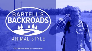 Bartell's backroads: animal style ...