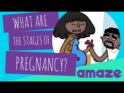 Video: Známky a etapy tehotenstva v Mare