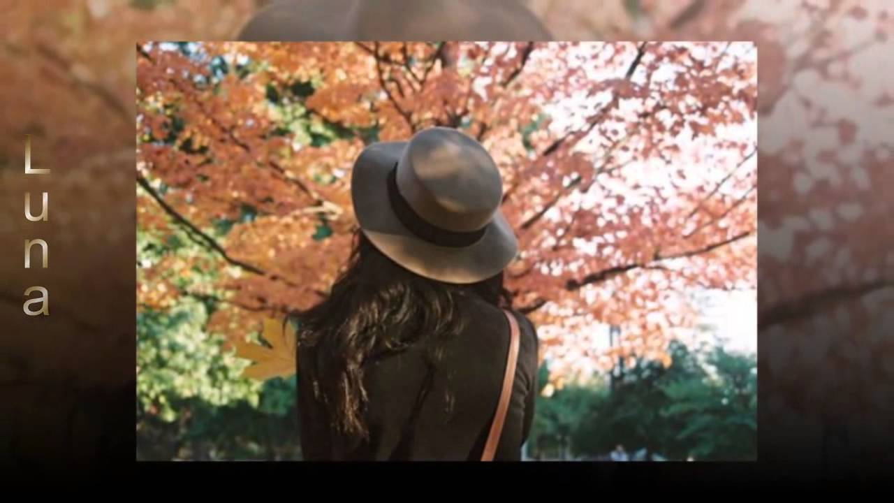 Beer Belly Blues John Deley YouTube