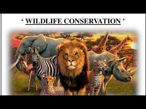 Wild life conservation part 1(Bsc III Year, Zoology Paper 2)