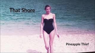 That Shore - The Pineapple Thief (cover)