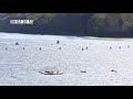 CKC 2018 - SMC1 1000m FINAL A - Sprint NTT1 - EÉN1 Vitesse - Gainesville, GA
