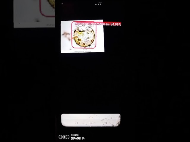 preview_player