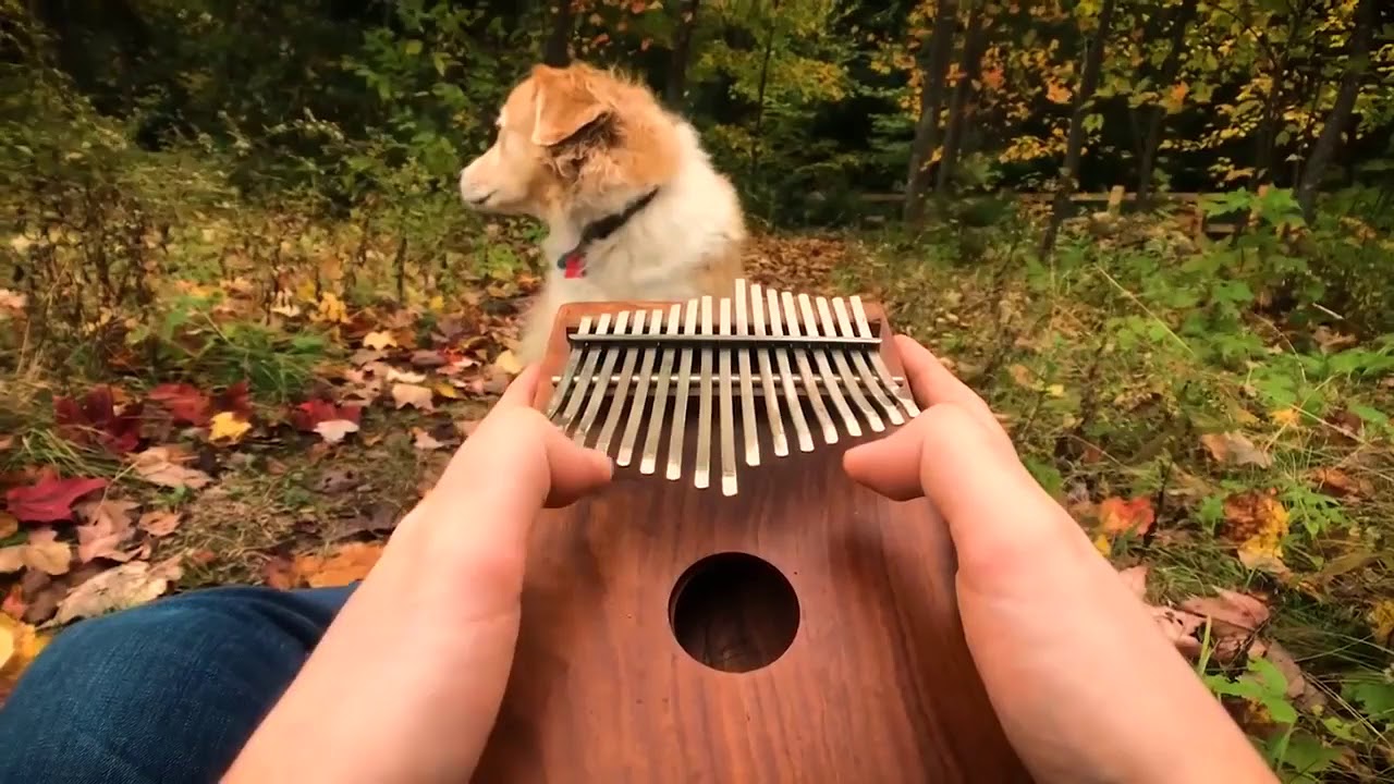 Mabi - Daumenklavier