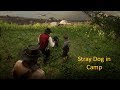 Red Dead Redemption 2: Stray Dog in Camp