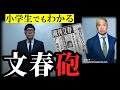 文春砲の威力を超わかりやすく解説。（ヒカキン氏、松本人志氏を例に）