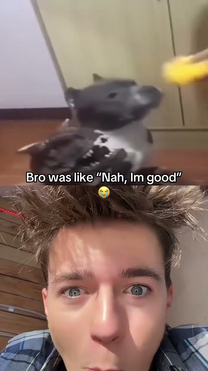 lol
