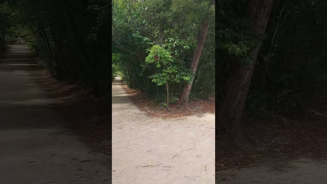 SEVEN PATHWAYS MAFRA HYPNOS GARDEN 