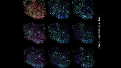 Epidemic Simulator relationship between tests sensitivity and testing capacity
