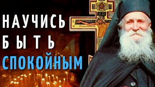 видео: Научись быть спокойным! - Фаддей Витовницкий картинка: Научись быть спокойным! - Фаддей Витовницкий