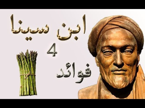 صيدلية ابن سينا 4 يزيد من ماء الرجل منافع و خواص الهليون او الاسفراج معلوماتك ملخص الحديث