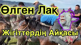 Салым Көкпар! Мұзбұлақ Жайлауында қырғын тартыс! 1-ші бөлім.