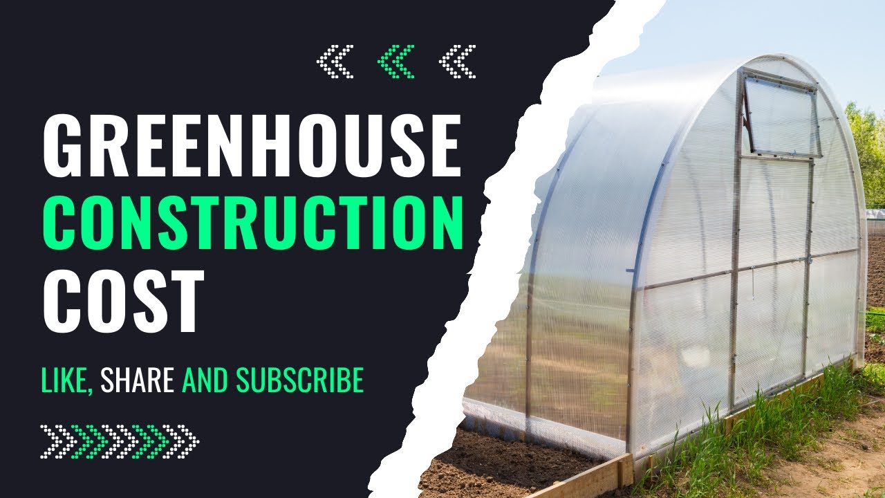 Greenhouse Construction Cost In Zimbabwe YouTube