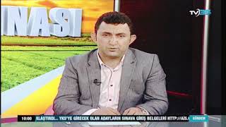 Bir Hayata Dokun Derneği Başkanı Dr Burcu Bostancıoğlu - Mustafa Ali Fırtına Tv 35