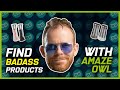 How to Find Bada$$ Product Niches on Amazon using AmazeOwl