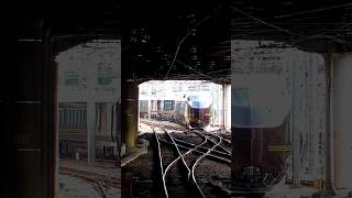 E655 series NAGOMI, High Grade Train for Imperial Family, at Ueno Station, Tokyo, Japan, May 5, 2025