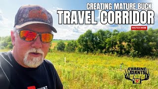 CGTV Whitetail Paradise | Travel Corridor Project for Daylight Mature Bucks