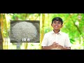 அரிசி வகைகளின் பெயர்கள் | Names of Rice Varieties | WIN SS BRAND RICE