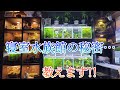 水槽部屋の秘密…全て話します‼ 電源足りる?ヒーターは?収納は? アクアリウム アクアリウムのある暮らし 海水水槽 金魚 メダカ