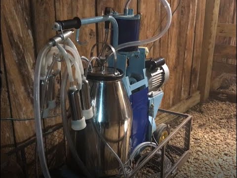 Video: Cow milking machine. Household milking machines for cows: reviews, prices