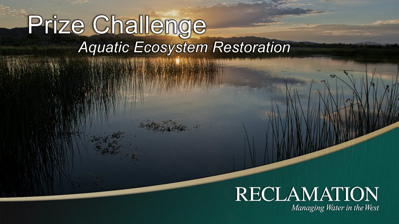 Why is Aquatic Ecosystem Restoration Important? YouTube