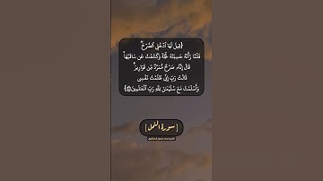 سورة النمل الآية ٤٤ بصوت الشيخ محمد صديق المنشاوي