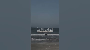 #المصحف #بسم_الله_الرحمن_الرحيم #راحة_نفسية #القرآن_الكريم #سورة_البقرة #حالات_واتس
