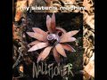 Miniature de la vidéo de la chanson Wallflower