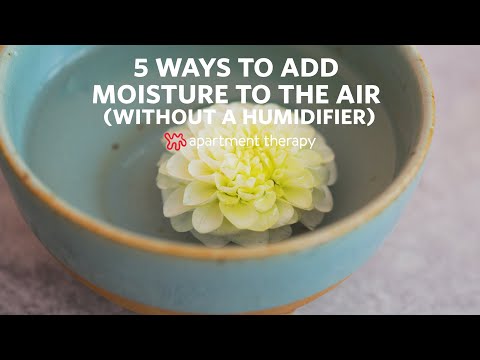 How to Add Moisture to Dry Air (Without a Humidifier) | Apartment Therapy