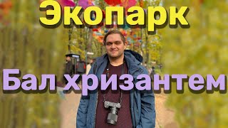 БАЛ ХРИЗАНТЕМ. О моей поездке в Экопарк.