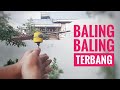 Membuat balingbaling terbang sederhana