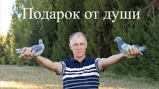 Подарок от души. Закрытие сезона.