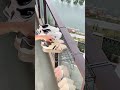 The Gadgets2.0 !,😍 Smart Appliances, Kitchen Tools Utensils, Home Cleaning/Beauty, tiktok #shorts