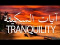 آيات السكينة مكررة من القران الكريم بصوت جميل جدا سبحان من رزقه هذا الصوت HD 