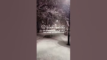 🌿فسبحان اللَّه حين تمسون وحين تصبحون 🌿القارئ عبدالرحمن مسعد 🌿