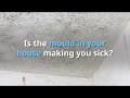 Mould and Condensation Removal Ireland