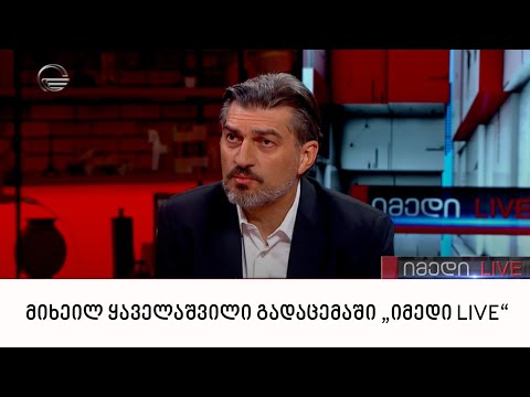 „ხალხის ძალის“ წევრი მიხეილ ყაველაშვილი გადაცემაში „იმედი LIVE“