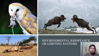 Core1 Biotic Potential And Environmental Resistance Youtube Core1 Biotic Potential And Environmental Resistance Youtube
