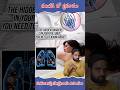 🚨Pillow users ki Big Warning #dangerous #pillow #bacteria #apnews #ytshorts #alert #world #worldnews