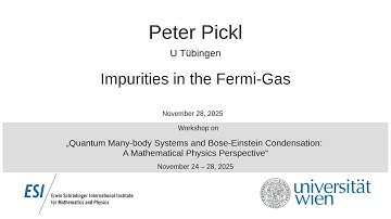 Peter Pickl - Impurities in the Fermi-Gas