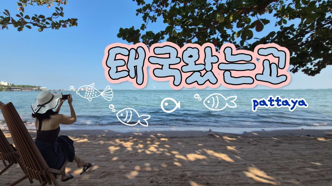 태국왔는교4탄🇹🇭|| 파타야 편