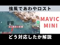 Mavic Mini あわやロスト、そのときどう対応したか解説