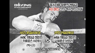 45연승(44KO) 카를로스 사라테 vs 29연승(29KO) 알폰소 사모라