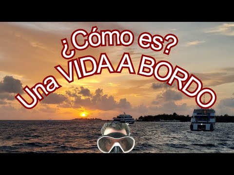 Video: Todo lo que debe saber sobre los viajes de buceo vida a bordo