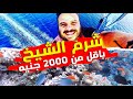 😍😱  رحلة شرم الشيخ بالكامل باقل من ٢٠٠٠ جنيه ادخول شوف ايه اللي ممكن تعملو في شرم الشيخ باقل الاسعار