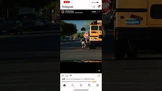 School bus driver gets pulled over  #funny #police #fyp