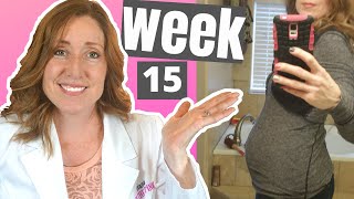 15 Week Pregnant And What To Expect When Do You Start To Show