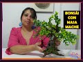 #AprendeConmigo #bonsai #papelmache COMO HACER BONSAI  CON MASA MACHE 💚💚💚